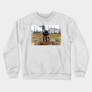 Suburban dog Crewneck Sweatshirt